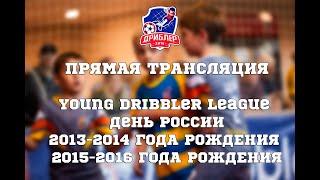 Young Dribbler League | День России 2013-2014 год ; 2015-2016 год