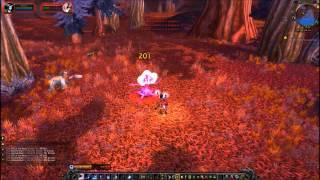 Cutting a Path Quest - World of Warcraft