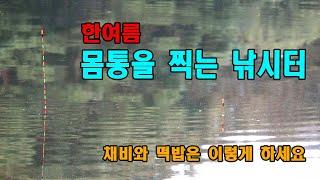 한여름 찌가 몸통을 찍는 낚시터,여름철 채비와 떡밥 운영,고담낚시터,록시고고,두칸반의별밤,용인낚시쇼핑몰