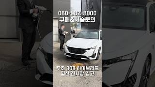 푸조 308 하이브리드 일산 전시장 입고!! | 푸세일 EP.02