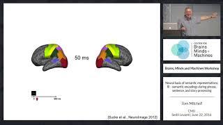 Neural Representations of Language