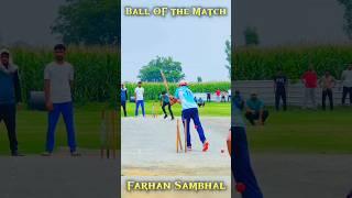 Ball Of The Match  Tennis Cricket // Zaid Warsi Official