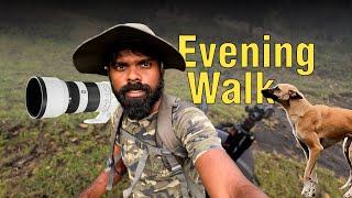 Mountain life | Living in the hills | Elephant story | Sunset walk #1  | தமிழ் vlog | kodaikanal