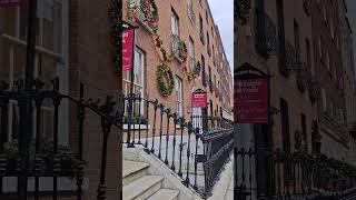 I saw amazing Christmas trees by Irish buildings in Dublin