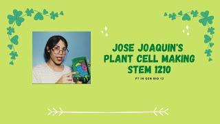 3D Plant Cell Model Vlog || Sienes, Jose Joaquin D.