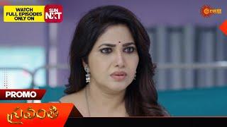 Shravanthi - Promo | 22 June 2024  | Gemini TV Serial | Telugu Serial