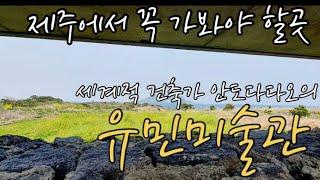 [제주도여행]꼭 가봐야할 제주미술관투어 | 유민미술관 | 제주건축기행 | 제주여행 | 제주꼭가봐야할곳 | jejudo | Jeju Island