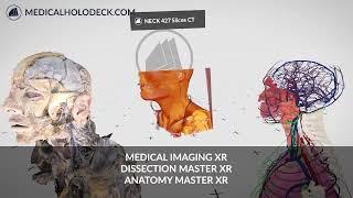 Medicalholodeck Apps -  Medical Imaging XR, Dissection Master XR and Anatomy Master XR side by side