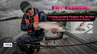 Fry Feeders (Fishing With Leaded Popper Fry On Rutland Water