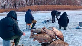 Мордаті КАРАСІ не лізуть в лунку! Під нами табуни риби і всі її ЛОВЛЯТЬ  Я таких ще не ловив!