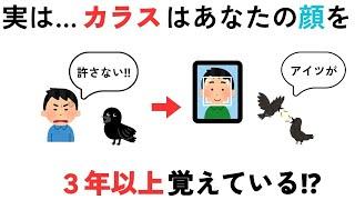 あなたは正解できる？知ってビックリ！動物と人間の雑学クイズ！