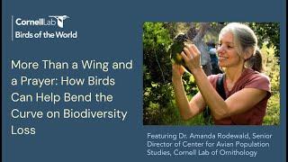 How Birds Can Help Bend the Curve on Biodiversity Loss feat Dr. Amanda Rodewald | Birds of the World