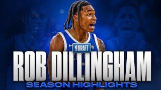 Rob Dillingham Season Highlights | Offense & Defense | 2024 NBA Draft