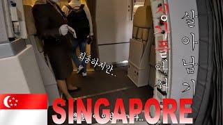  에서 살아남기 1일차 - 해외출장 싱가포르편 Business trip Singapore {1}