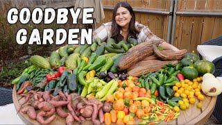 Goodbye 2024 | The Last Garden Harvest