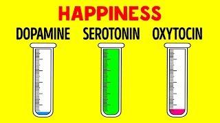 How Hormones Influence You and Your Mind