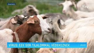 Vírus: egy sor tilalommal védekeznek – Erdélyi Magyar Televízió