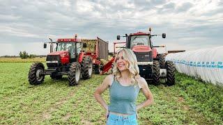 Is it Harvest Time?! The Silage bag says Yes!