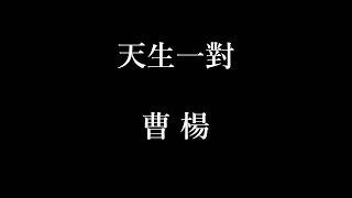 曹楊-天生一對【歌詞】