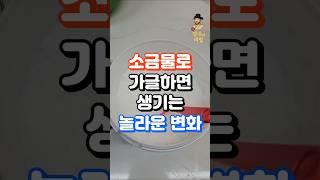 잇몸병.감기.입냄새 소금물로 끝장내는 방법! #중년건강 #건강한중년 #건강정보 #건강상식 #건강관리 #지식 #건강 #장수의비밀