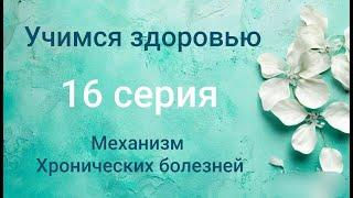 Учимся здоровью  16 серия  Механизм хронических болезней