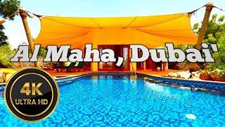 Al Maha, Dubai's Best Desort Resort, Marriott Luxury Collection Hotel (Full Tour & 4K Vlog)