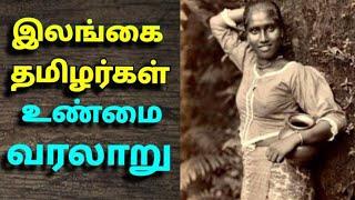 இலங்கை தமிழர்கள் வரலாறு| The history of srilankan tamilians| சோழர்கள்|பாண்டியர்கள் | பாரசீகர்கள்