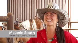 Study Natural Horsemanship One Course at a Time at Montana Western