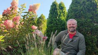 Roadside Screening Plant Tour - Awesome Design to Hide Auto Shop