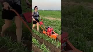 women farming #agriculture #tractorglobal #farming #farmer #machine #farm #shortsfeed #rotavator