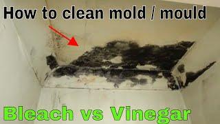 How to remove and kill mold - Bleach vs vinegar