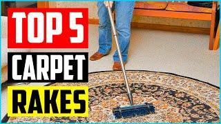 Top 5 Best Carpet Rakes in 2023 Reviews