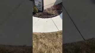 Pop Up Drains - Blake Builders Lincoln NE