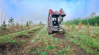 PLANTING 1000 TREES!! Tree Nursery Farm - All Bare Root Trees Spring Planting