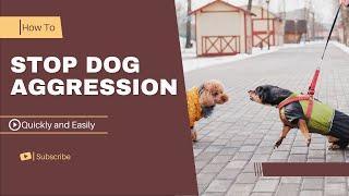 How to stop Dog Aggression quickly And easily - In a few steps!