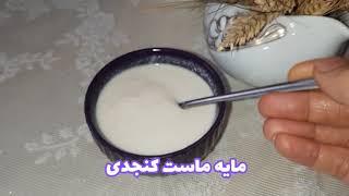 آموزش تهیه مایه ماست کنجدی