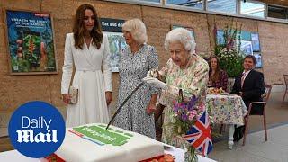 Queen ignores advice and chooses sword over knife to slice cake