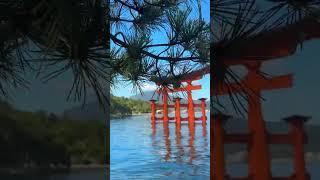 JAPAN TRAVEL VLOG SHORTS #japan #japantravelvlog #bengalitravelvlog #japantravel #banglatravelvlog