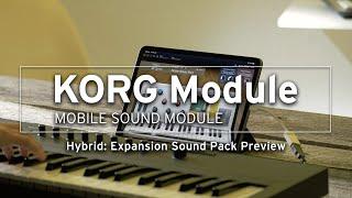 KORG Module v4 | Hybrid Expansion Sound Pack Preview