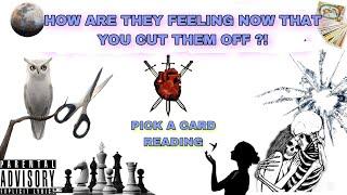 (PICK A CARD) HOW ARE THEY FEELING NOW THAT YOU CUT THEM OFF ?!