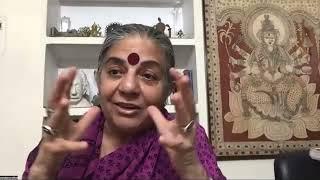 Vandana Shiva, Terra Viva, and Changing Your Climate Change Mindset