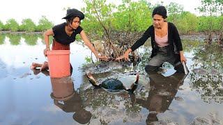 Brave Women Catch Many Huge Mud Crabs at Sea Swamp after Water Low Tide