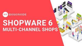 Shopware 6 Multi-Channel Shops erstellen: Schritt-für-Schritt Anleitung