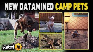 NEW Datamined Camp Pets! | Fallout 76 Future Atomic Shop Items