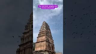 Ancient Champa Temples. #shorts