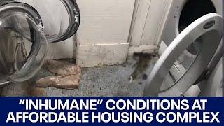 Residents call living conditions "inhumane" at affordable housing complex | FOX 7 Austin