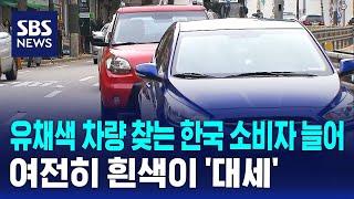 유채색 차량 찾는 한국 소비자 늘어…여전히 흰색이 '대세' / SBS / 경제365