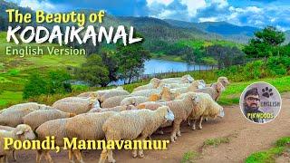 Beauty of Kodaikanal | Poondi, Mannavannur in Tamilnadu English