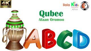 Qubee afaan Oromoo daa'imman bu'uura barnootaatiif