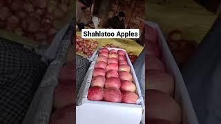 Shahlatoo Apples